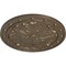Ekena Millwork Foster Acanthus Leaf Ceiling Medallion (Canopies up to 2 1/4"), 20 1/2"OD x 1 1/2"P, Warm Silver CM20FOWSS - alternate 4